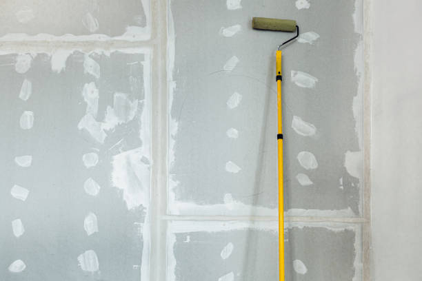 Best Attic Mold Removal  in Loretto, TN