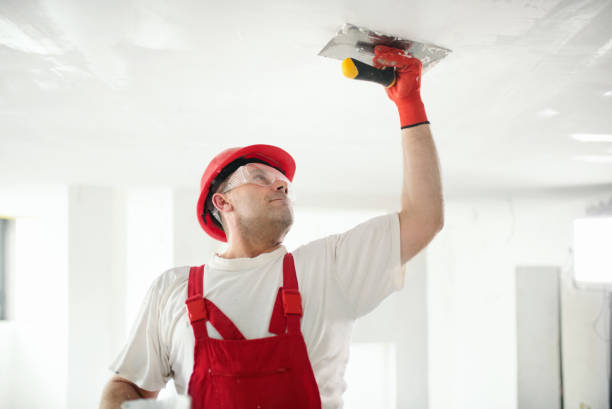 Best Air Quality Testing for Mold Spores  in Loretto, TN